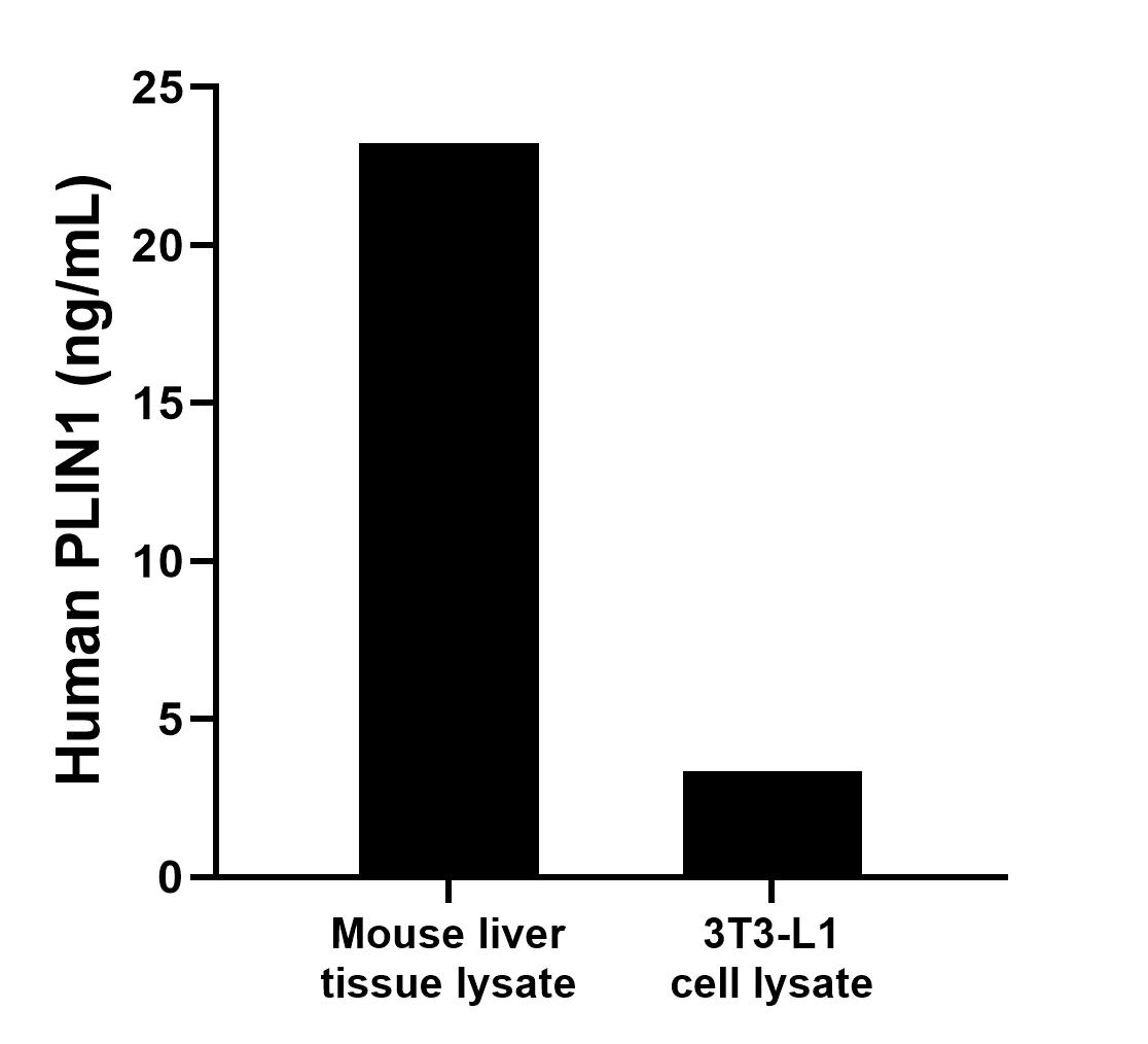 Mouse liver tissue lysate was measured. The human PLIN1 concentration in mouse liver tissue lysate was determined to be 23.24 ng/mL (based on a 3.70 mg/mL extract load). 3T3-L1 cell lysate was measured. The human PLIN1 concentration in 3T3-L1 cell lysate was determined to be 3.35 ng/mL (based on a 3.40 mg/mL extract load).